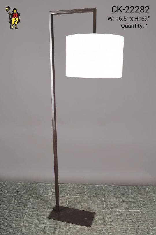 Modern Bronze Reading Floor Lamp