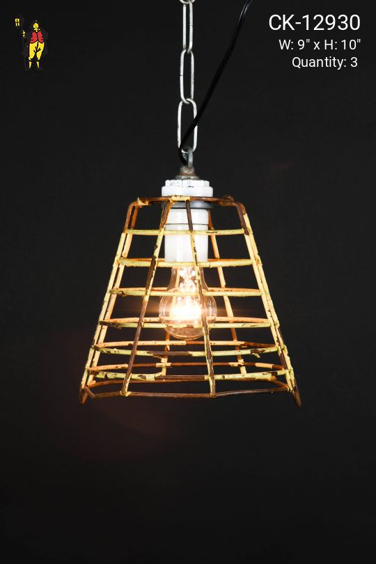 Industrial Caged Socket Pendant