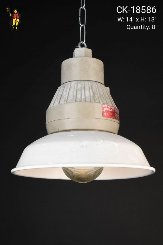 Metal Industrial Hanging RLM Pendant