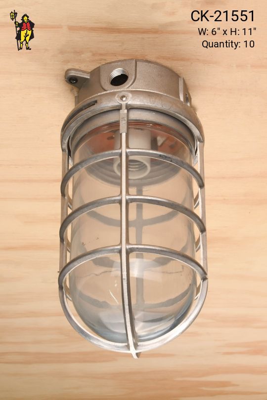 Metal Caged Vapor Proof Ceiling Mount Fixture