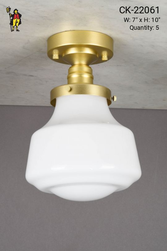 7" Glass Globe Flush Mount Fixture w/Brass Hardware
