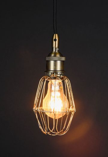 Hanging Caged Socket Pendant