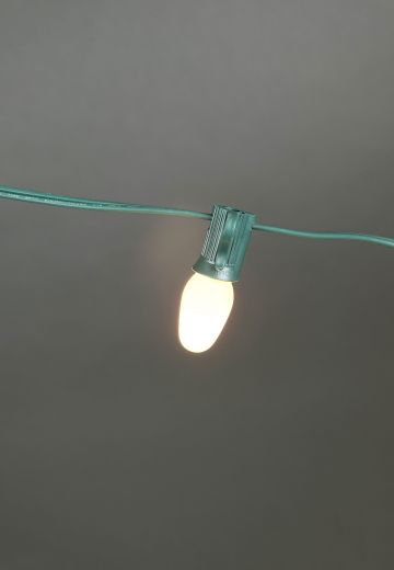 25' C7 Green Stand White Bulb String Lights