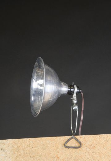 Silver 8" Clip Lights