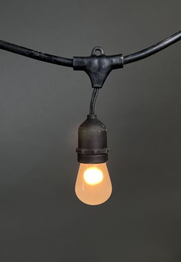 50' Black Strand Carnival Lights w/Frosted Bulbs