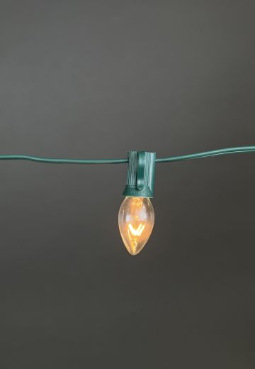 25' Green Stand Clear Bulb String Lights