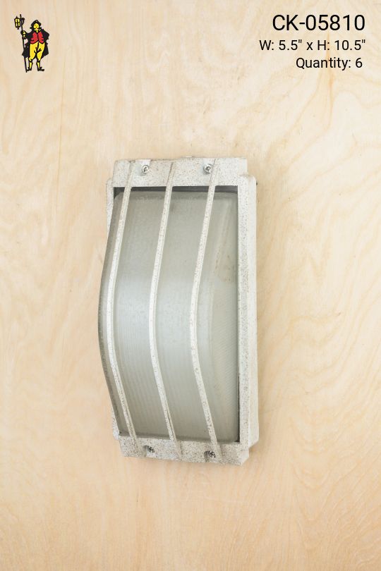 Distressed Emergency Cage Light