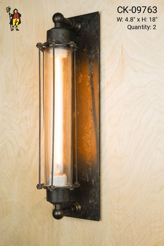 Black Iron Cage Industiral Wall Sconce