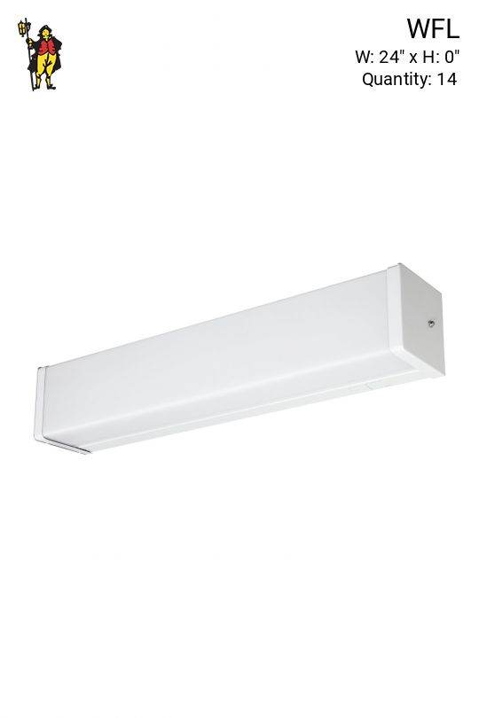 Two Foot Fluorescent Hanging/Wall Mount Fixture